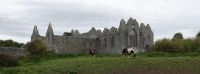 PICTURES/Askeaton Village - Desmond Castle & Franciscan Friary/t_DSC00501.JPG